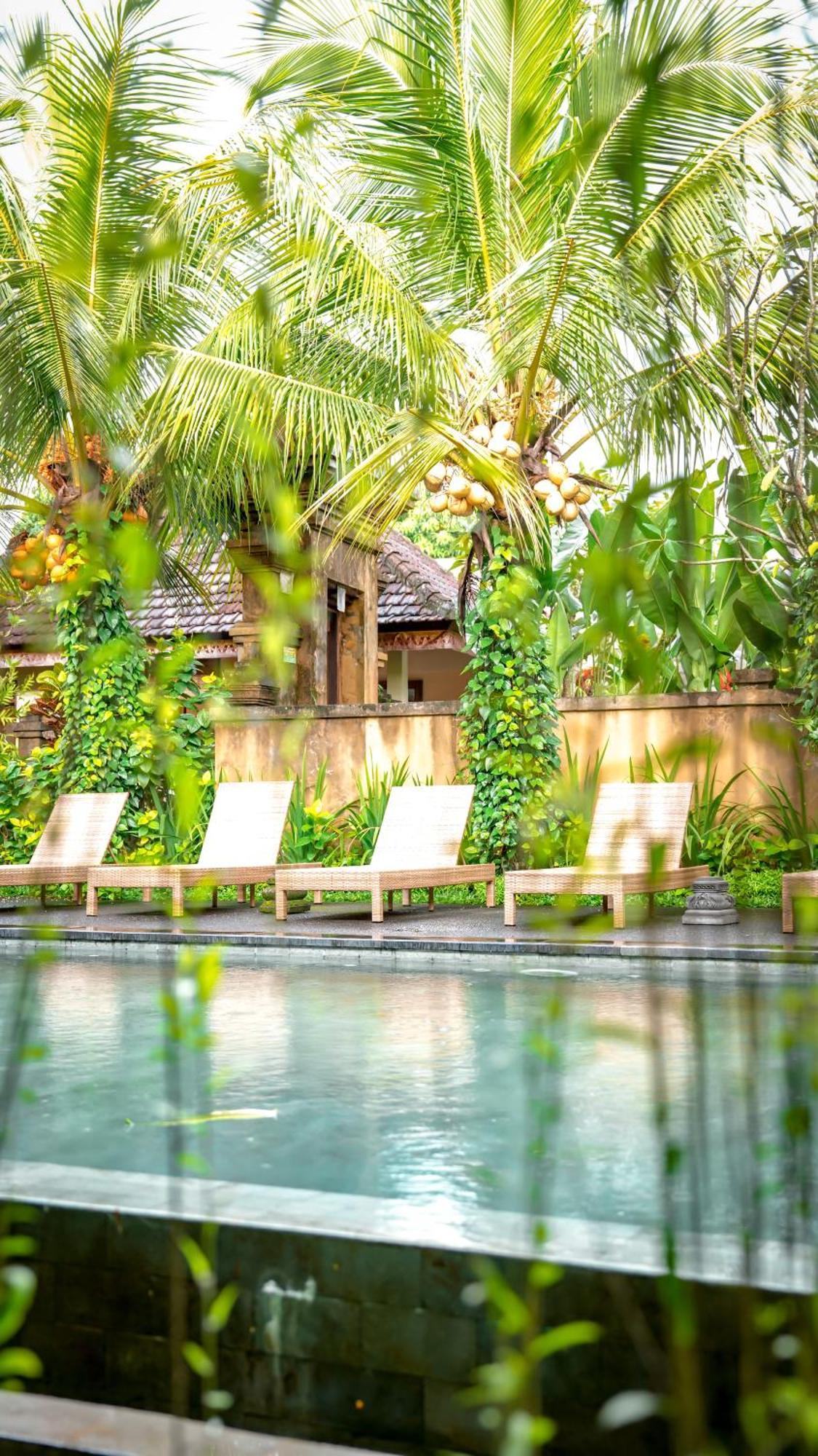 Hotel Swahita 3*
